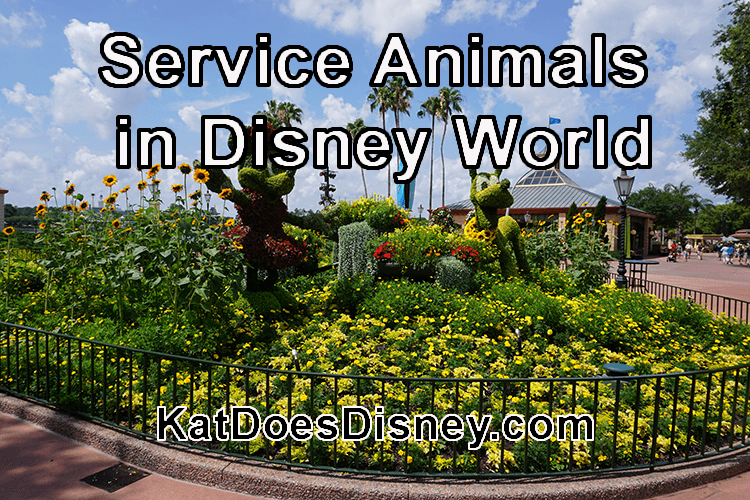 Service Animals in Disney World