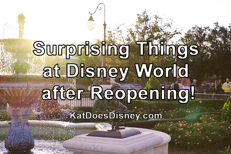 Surprising Disney World Reopening