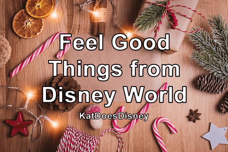 Feel Good Things Disney World